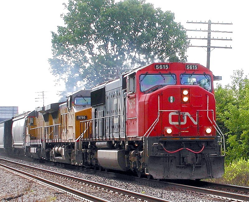 CN 5615